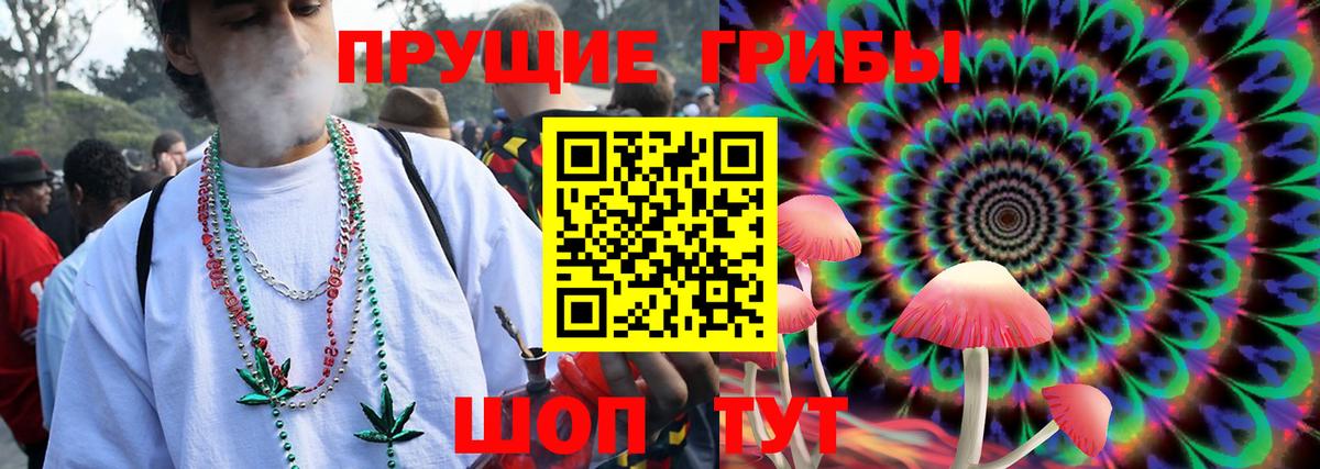 Галлюциногенные грибы прущие грибы  Псилоцибиновые грибы Psilocybine cubensis  купить  цена  Вход с VPN  Губкин 