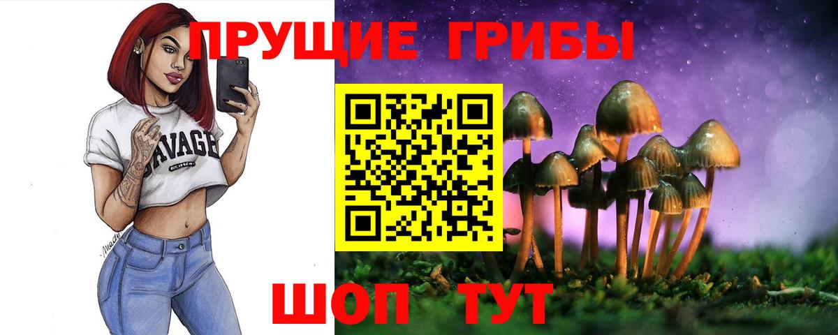 Галлюциногенные грибы Psilocybine cubensis Губкин